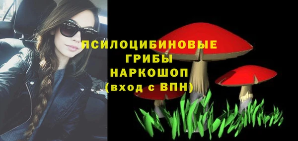 apvp Гусиноозёрск