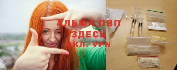 мяу мяу мука Гусь-Хрустальный