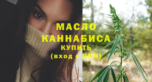 мяу мяу мука Гусь-Хрустальный