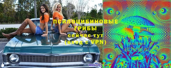 apvp Гусиноозёрск