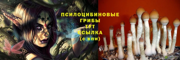mdpv Дмитриев