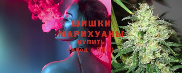 шишки Щучье