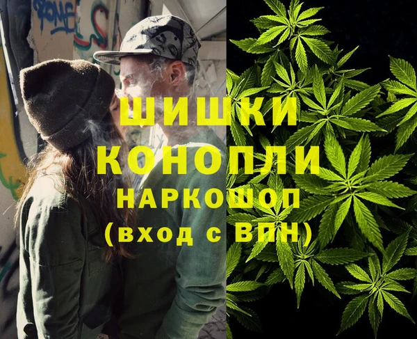 мяу мяу мука Гусь-Хрустальный