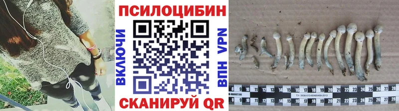 продажа наркотиков  Печоры  Псилоцибиновые грибы мицелий 